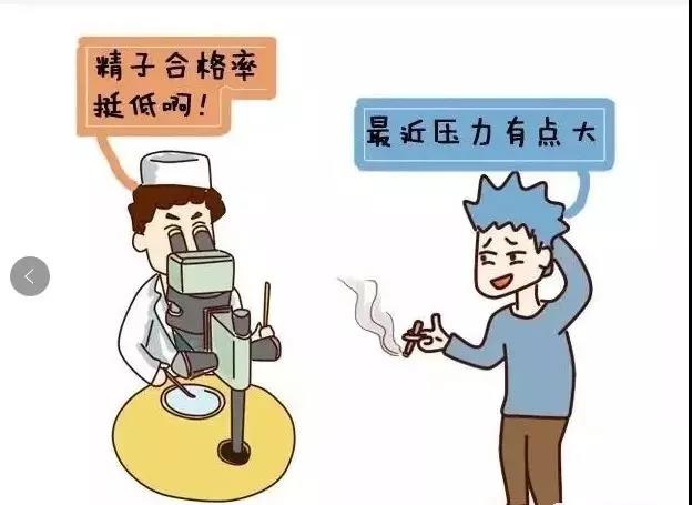男性不育症状诊断治疗