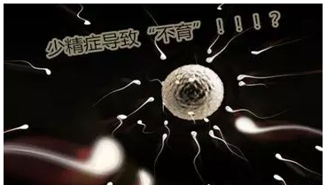 ���Բ������Ƶ����ָ�