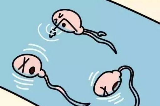 男性不育检查诊断症状治疗