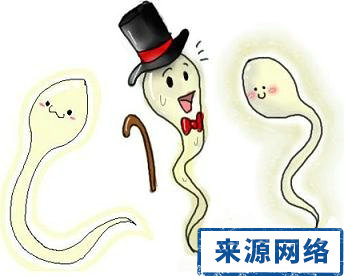 男性不育检查注意事项